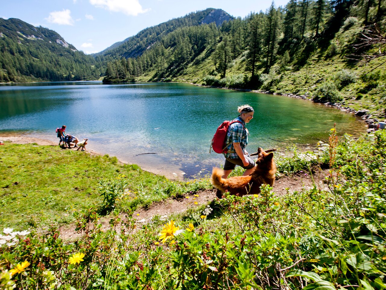 © Tom Lamm  ikarus.cc | Tom Lamm