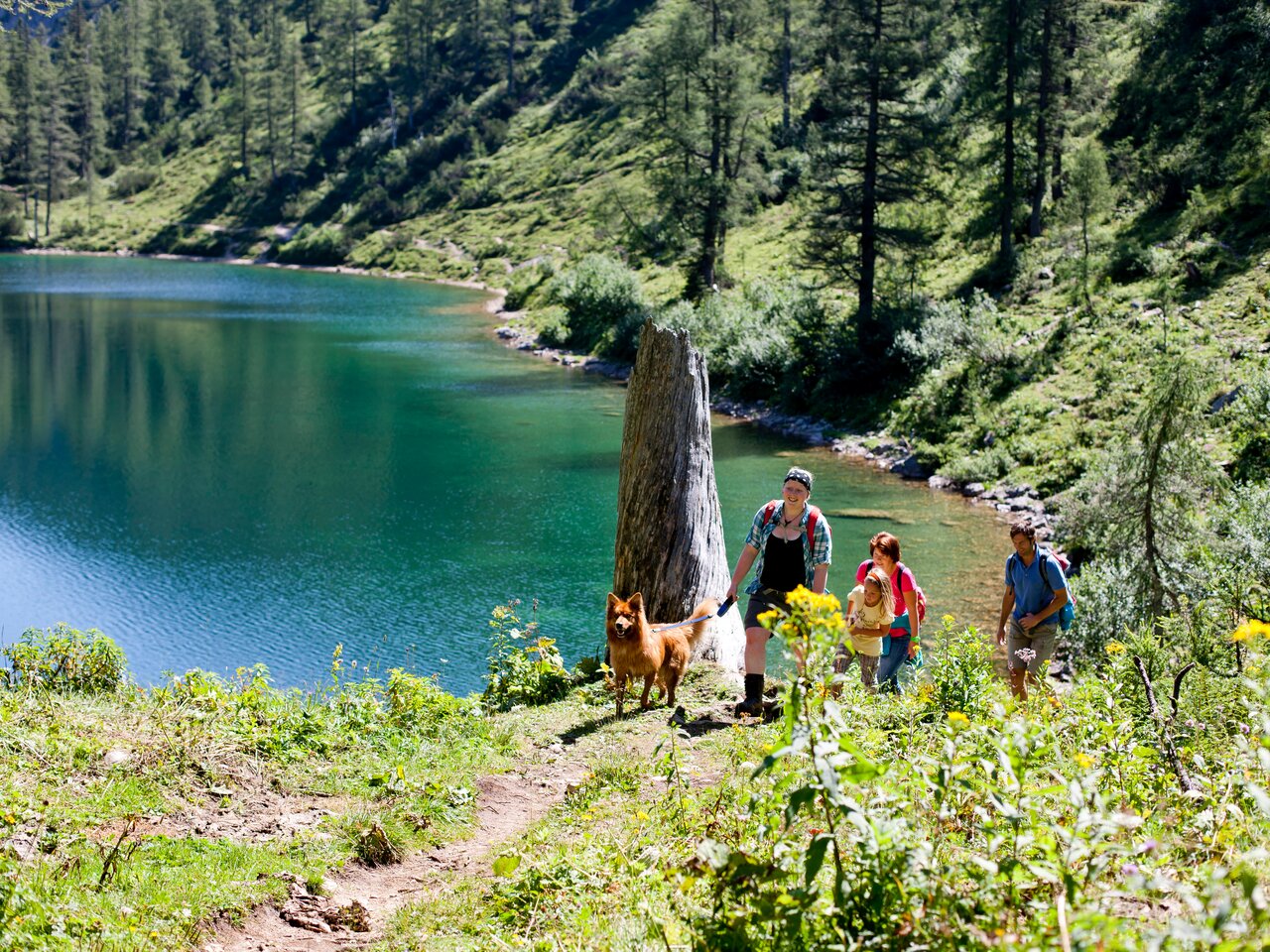 © Tom Lamm  ikarus.cc | Tom Lamm