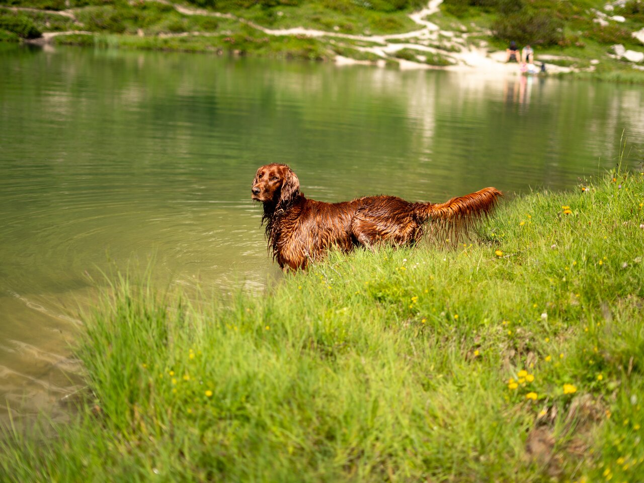 © laurinfeichtner@gmail.com | Laurin Feichtner