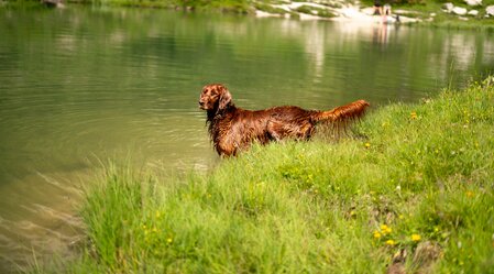 © laurinfeichtner@gmail.com | Laurin Feichtner