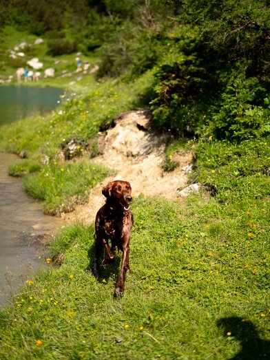 © laurinfeichtner@gmail.com | Laurin Feichtner