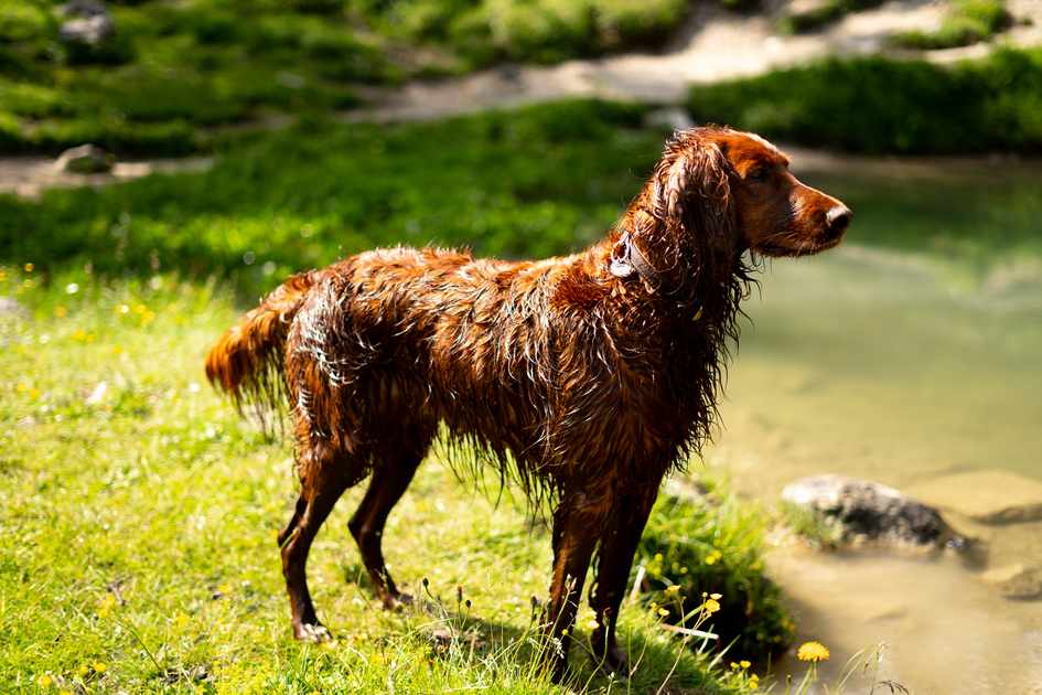 © laurinfeichtner@gmail.com | Laurin Feichtner