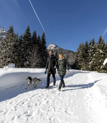 Winterspaziergang mit Hund im Ausseerland, zur Blaa-Alm | © Steiermark Tourismus / ikarus.cc | Tom Lamm