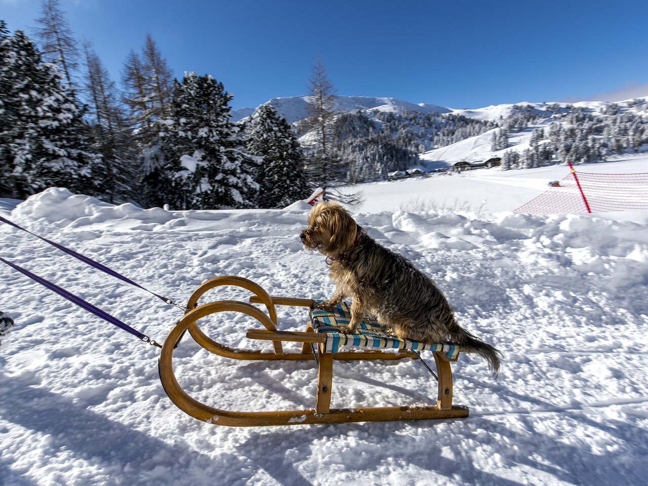 © Steiermark Tourismus / ikarus.cc | Tom Lamm