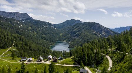 © Tom Lamm | ikarus.cc | Tom Lamm