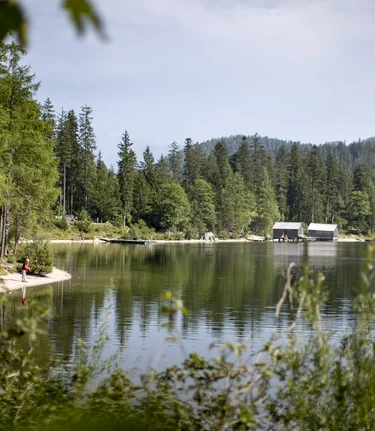 © Tom Lamm | ikarus.cc | Tom Lamm