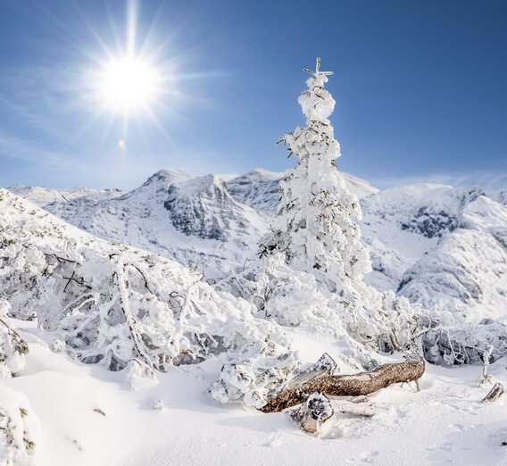 © Katrin Kerschbaumer Photography | Katrin Kerschbaumer Photography