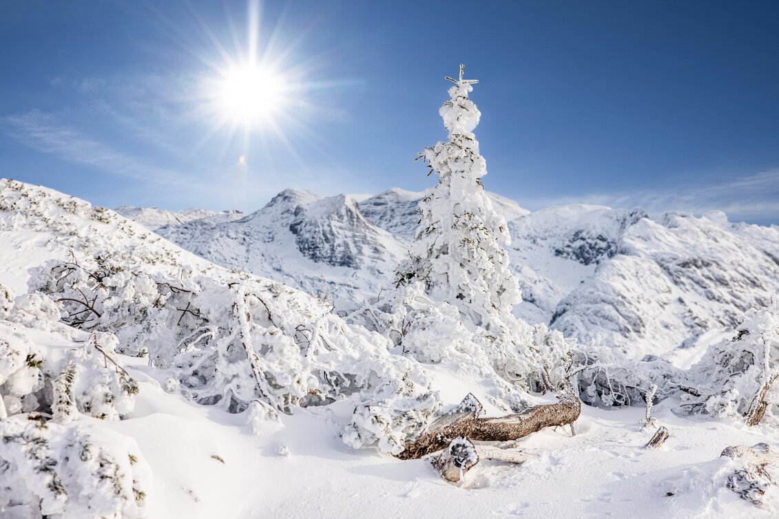 © Katrin Kerschbaumer Photography | Katrin Kerschbaumer Photography