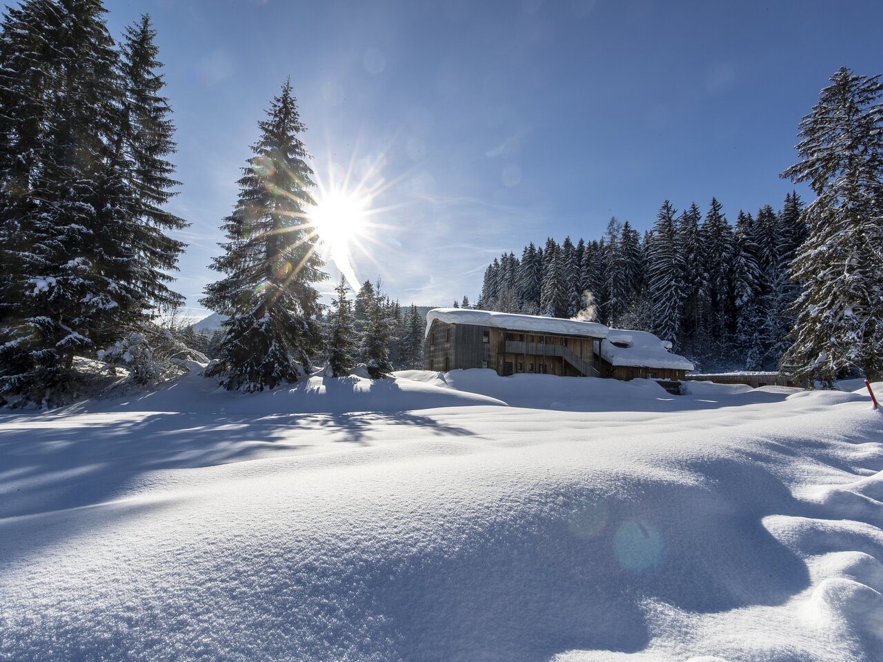 © Tom Lamm | ikarus.cc | Tom Lamm