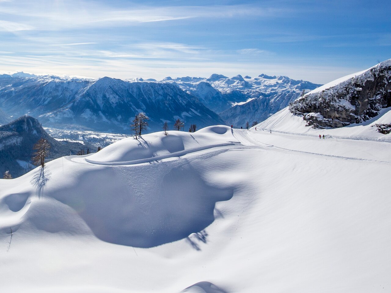 © Tom Lamm | ikarus.cc | Tom Lamm