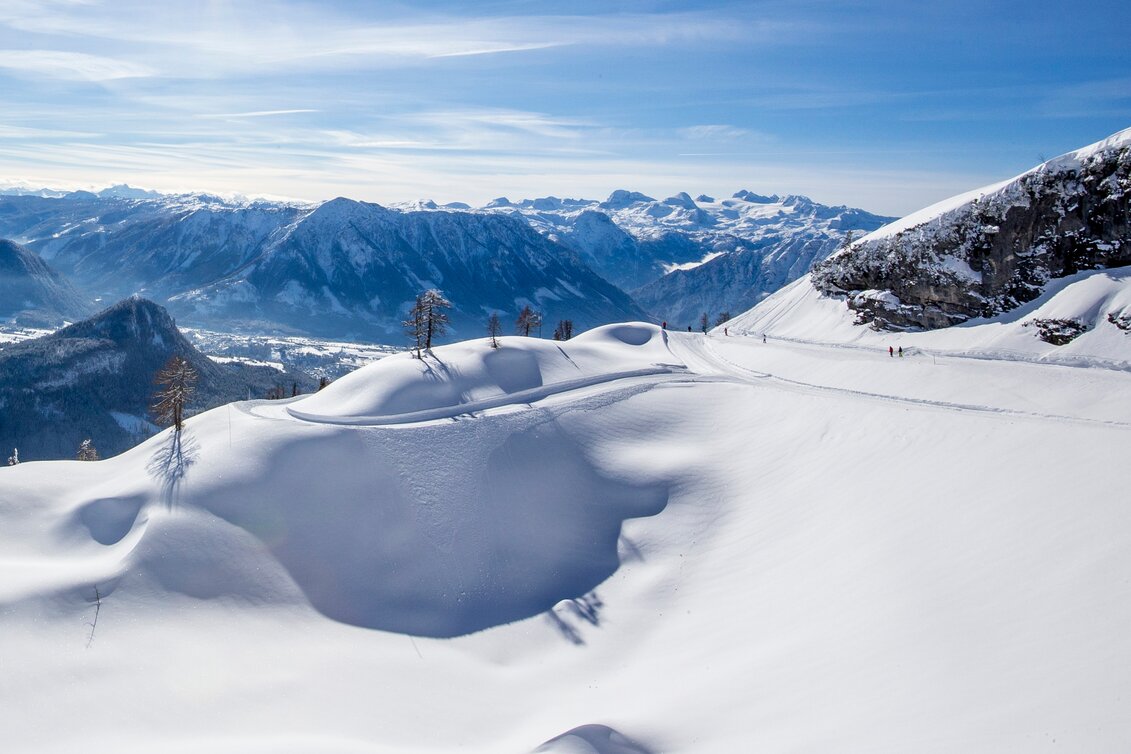 © Tom Lamm | ikarus.cc | Tom Lamm