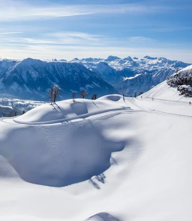 © Tom Lamm | ikarus.cc | Tom Lamm