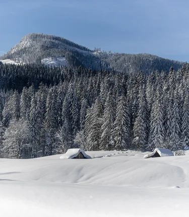 © Tom Lamm | ikarus.cc | Tom Lamm