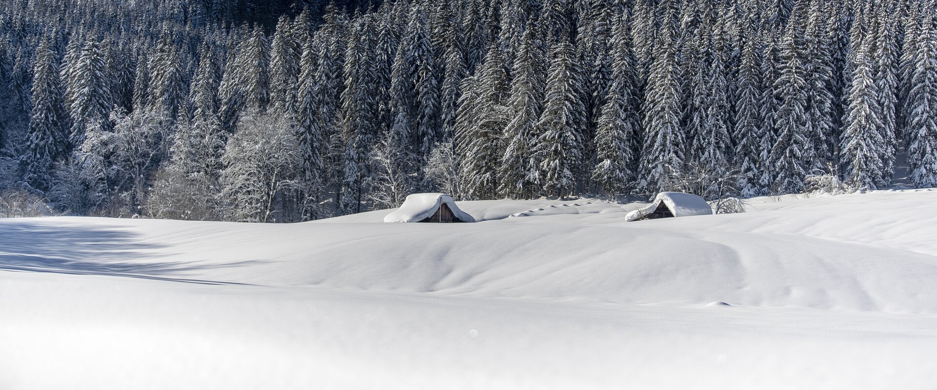 © Tom Lamm | ikarus.cc | Tom Lamm