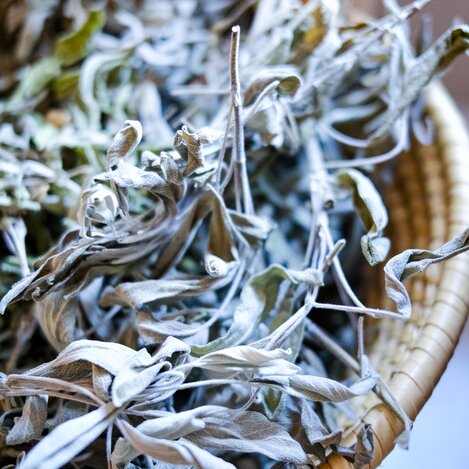 © Evalie Wagner Herbolarium