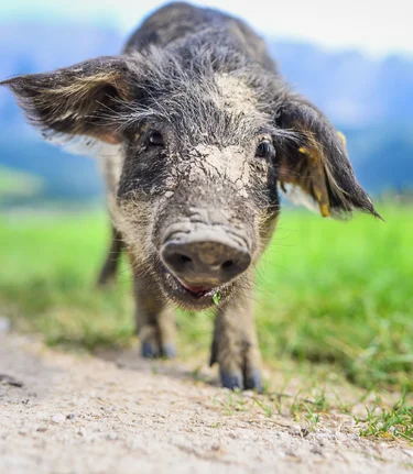 © TVB Ausseerland - Salzkammergut/Jacqueline Korber