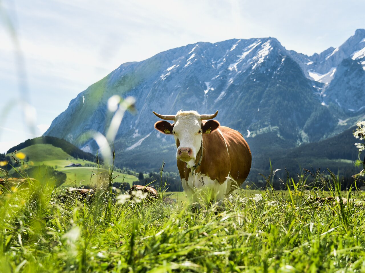 © TVB Ausseerland - Salzkammergut/Jacqueline Korber