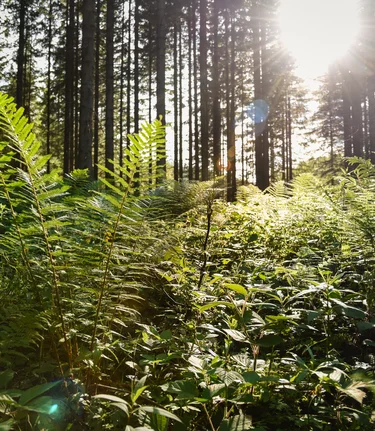 © TVB Ausseerland - Salzkammergut/Jacqueline Korber