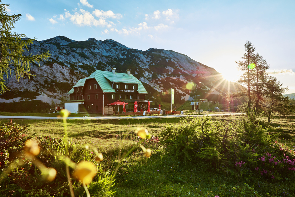 © www.kklammer.at | Karin Klammer