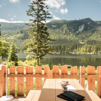 © Dieter Sajovic www.dieabbilderei.at 06769001020 | Dieter Sajovic