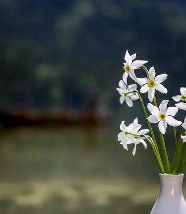 © Tom Lamm | ikarus.cc | Tom Lamm