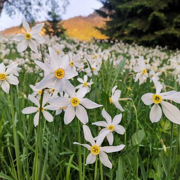 © TVB Ausseerland - Salzkammergut/Theresa Schwaiger
