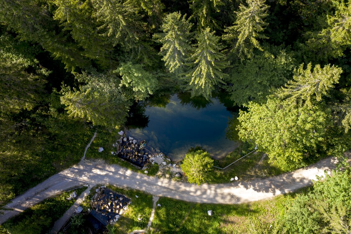 © Tom Lamm | ikarus.cc | Tom Lamm