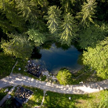 © Tom Lamm | ikarus.cc | Tom Lamm