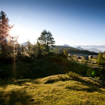 © Tom Lamm  ikarus.cc | Tom Lamm