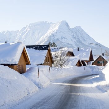 © Tom Lamm | ikarus.cc | Tom Lamm