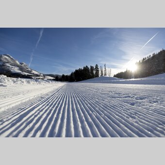 © Tom Lamm | ikarus.cc | Tom Lamm