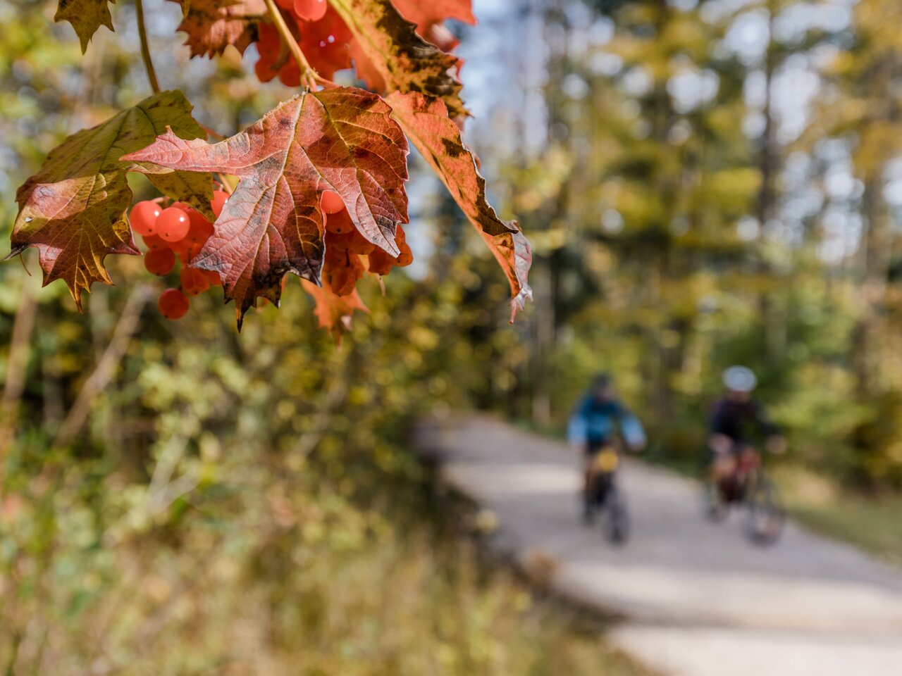 © Katrin Kerschbaumer Photography | Katrin Kerschbaumer Photography