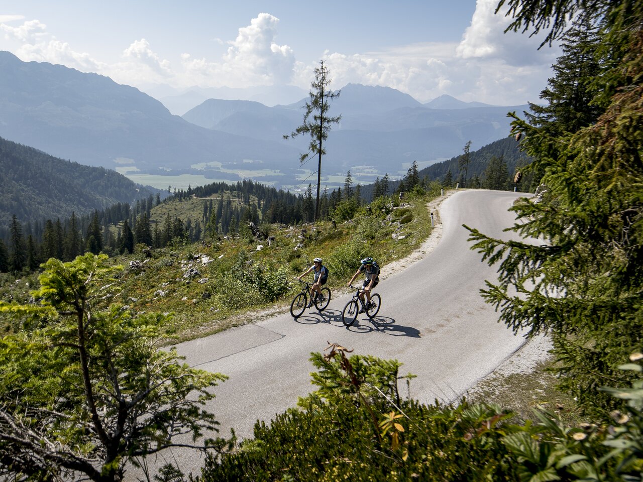 © Tom Lamm | ikarus.cc | Tom Lamm