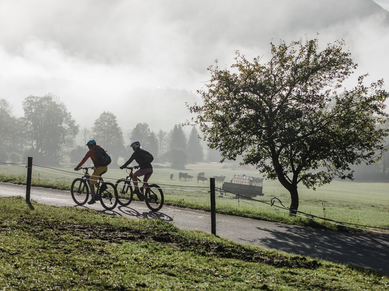 Salzkammergut BergeSeen E-Trail | © Salzkammergut - Katrin Kerschbaumer | Mit Unterstützung von Bund und Europäischer Union.