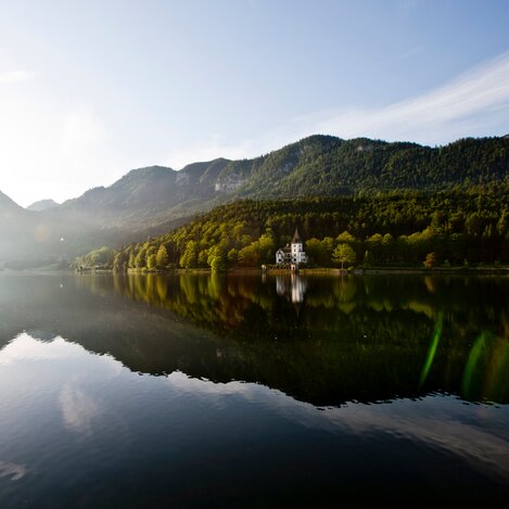 © Tom Lamm | ikarus.cc | Tom Lamm