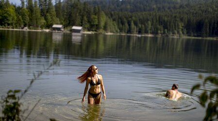 © Tom Lamm | ikarus.cc | Tom Lamm