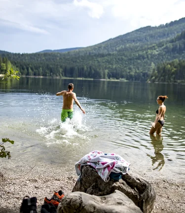 © Tom Lamm | ikarus.cc | Tom Lamm