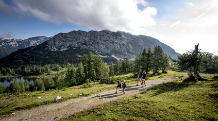 © Tom Lamm | ikarus.cc | Tom Lamm