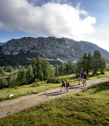 © Tom Lamm | ikarus.cc | Tom Lamm