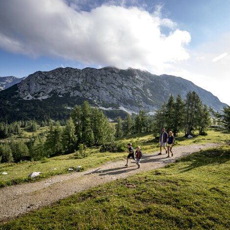 © Tom Lamm | ikarus.cc | Tom Lamm