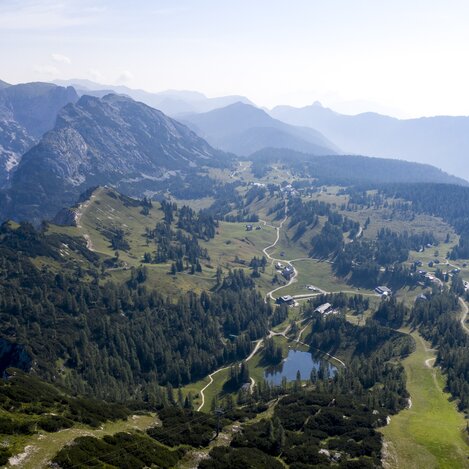 © Tom Lamm | ikarus.cc | Tom Lamm