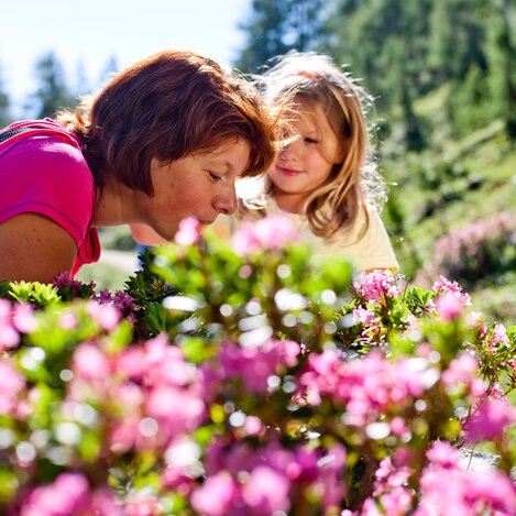 © Tom Lamm  ikarus.cc | Tom Lamm