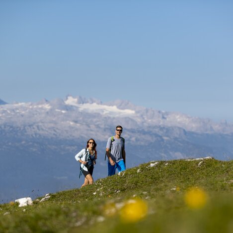 © Tom Lamm | ikarus.cc | Tom Lamm