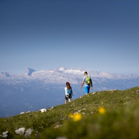 © Tom Lamm | ikarus.cc | Tom Lamm