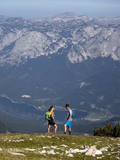 © Tom Lamm | ikarus.cc | Tom Lamm