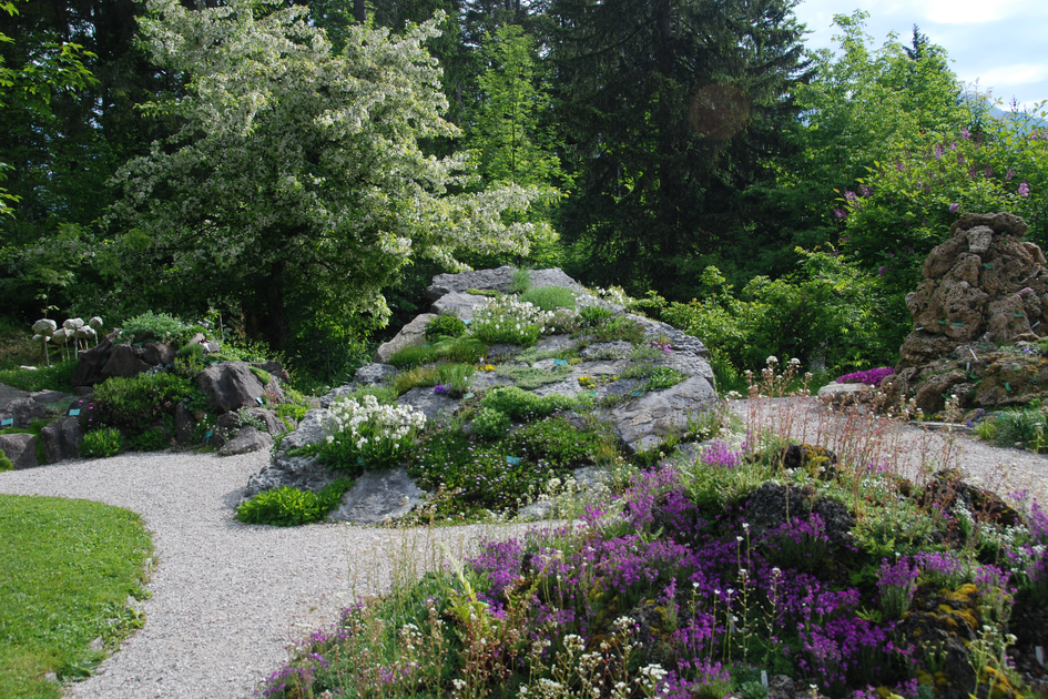 Alpengarten Bad Aussee | © Stadtgemeinde Bad Aussee | © Stadtgemeinde Bad Aussee