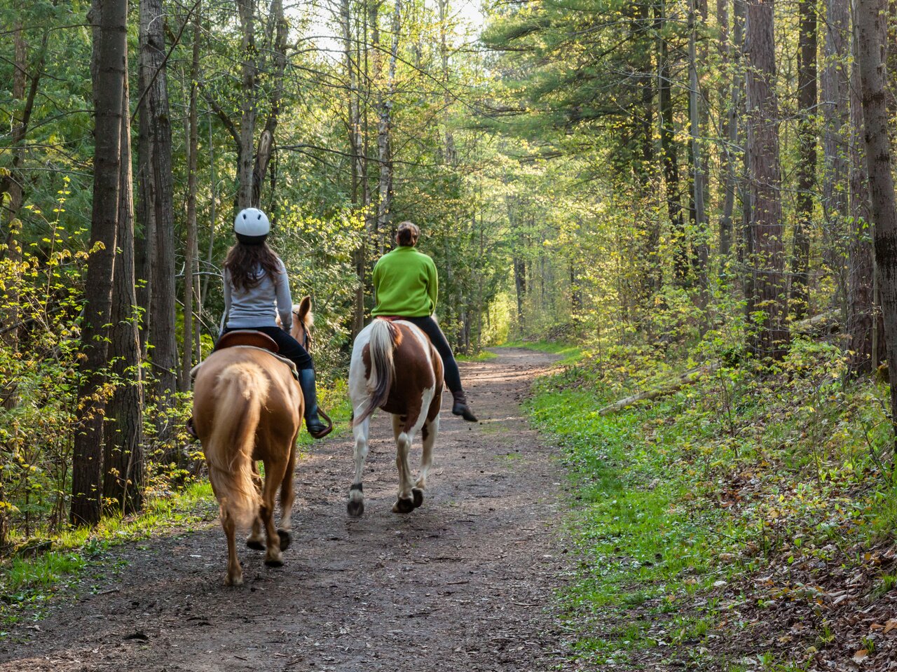 Two women horseback riding in the forest. | ©Lorne - stock.adobe.com | Lorne Chapman
