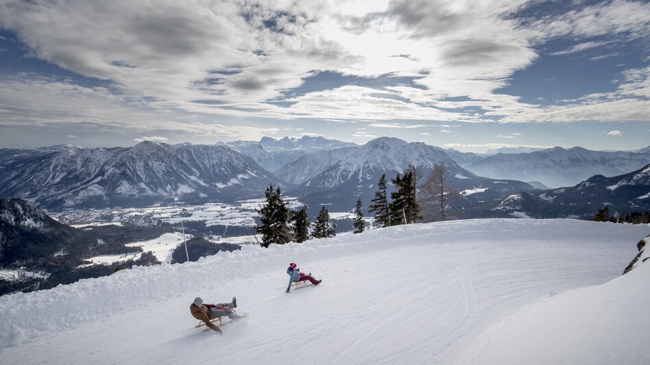 © Tom Lamm | ikarus.cc | Tom Lamm