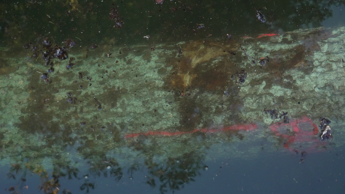 Ein Leben für die Allgemeinheit Wasserdienst der Feuerwehr Altaussee (1).mp4