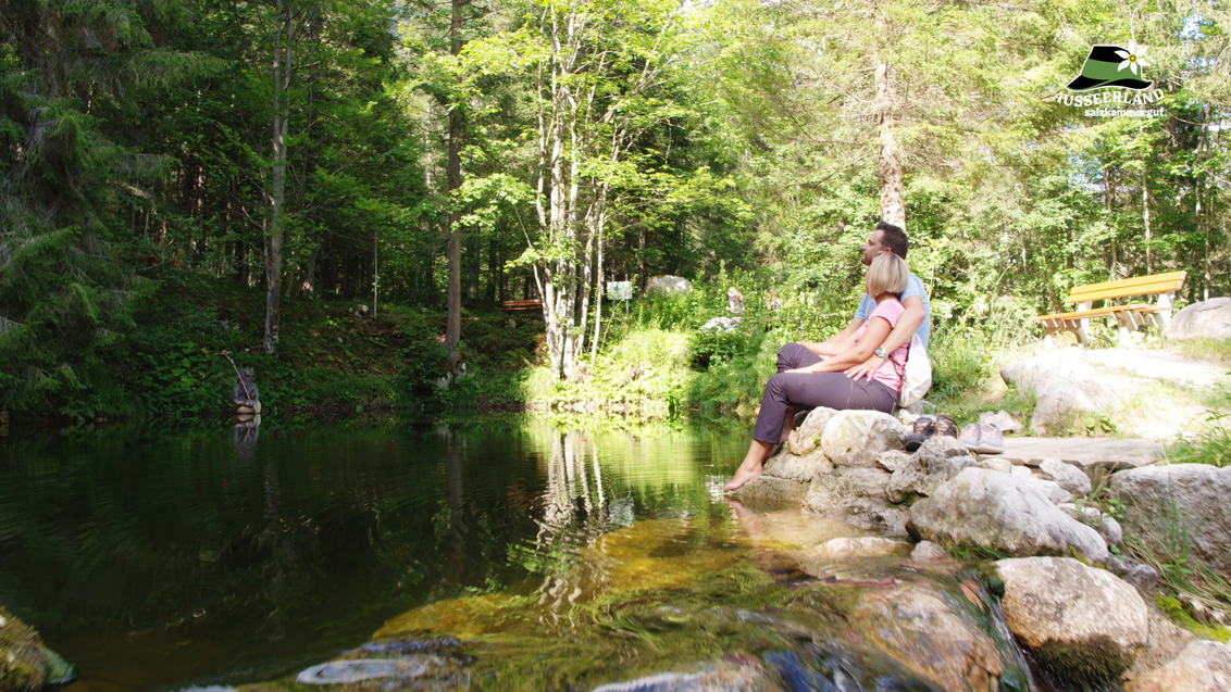 ___Kurzclip_Laufen.mp4